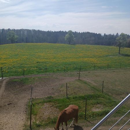 Wohnung Mit Ausblick Ravensburg Exterior foto